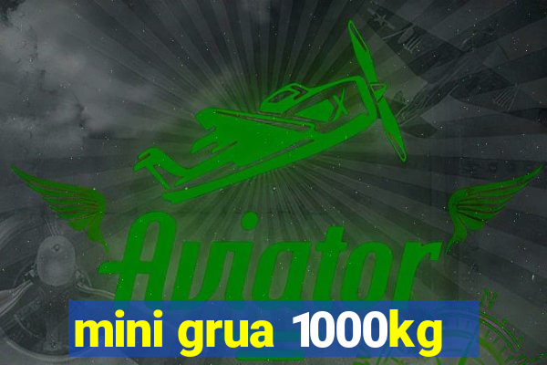 mini grua 1000kg